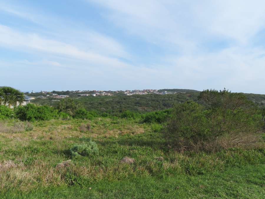 0 Bedroom Property for Sale in Forest Downs Eastern Cape
